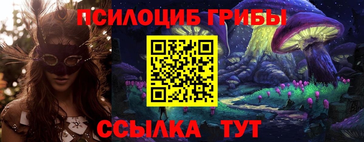 Псилоцибиновые грибы мицелий  Псилоцибиновые грибы Psilocybe  Отрадный  Вход с VPN 